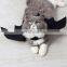 Halloween pet costumes dog cat toys