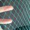 Agriculture Garden Protection Net Mesh High Strength HDPE Warp Knitted Green Bird Netting