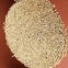 Bamboo stick for incense making or agarbati stick made in Vietnam unscented incense stick
