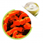 Порошок бифидобактерий Bifidobacterium Breve