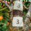 Wholesale Potted Orange Fruit Plant - Custom Height 150-500CM, PE Foliage & ECO Pot, Low Maintenance