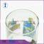 fancy shaped 500ml drinking glass