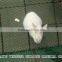 Plastic Poultry net