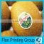 Cheap customized numbers on fruit labels