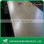 UV Plywood FOR U.S.A