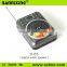 Hot new product D-66 portable wireless amplifier, fm radio speaker