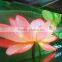 P4 Chinese LED display sign wholesale price