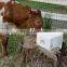 2016 hot sale animal feeding salt licking block making machine