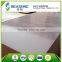 class a film faced plywood for construction