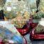 HOT SALE New Cheap Natural Beautiful Labradorite Furnishing Articles For Decoration