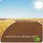 pure organic fertilizer of Biochemical fulvic acid