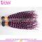 6A 7A 8A Cheap Wholesale Bohemian Purple Peruvian Virgin Kinky Curly Hair