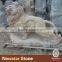 Newstar garden decoration lion statue,garden statue