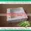 10lbs plastic fresh okra packing box
