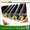 nori seaweed for sale