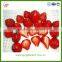 Chinese fresh strawberry for sale size: 22-28mm