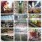 AceFog textile mill usage high pressure mist sprayer air cooler mist
