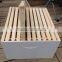 Quality wooden ware Dadant beehive / langstroth beehive for sale
