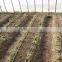 Drip Irrigation Kit Soaker Hose 20 Rows Watering System Drip Tape