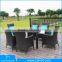 Luxury 6 Seats Outdoor Furniture Rattan Dining Set / Rattan Garden Furniture