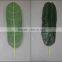 monstera leaves,dried banana leaf ,foliage tree leaves decoration