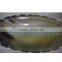 Buffalo Ox Horn Bowl/Trey/Dish