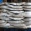 for canning good price wholesale block frozen Sardina