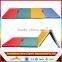 Mixed 4'x10'x2" Thick Folding Panel Gymnastics Mat Gym Fitness Exercise Mat