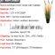 Dongugan Factory Direct Sale Artificial Grass Onion Grass with Cattails in Pot Synthetic Potted Grass Pots Plant