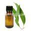 Eucalyptus Oil