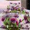 Hot selling velour made in china 3d bedding set