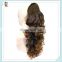 Brown Color Long Curly Drawstring Ponytail Hair Extension HPC-0123