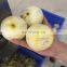 DRB-XP3 Professional Persimmon Peeler with Factory Price,Small Round Fruit Peeling Machine