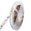 New 2021 RGBW LED strip waterproof 12V 24V 5050smd led lighting led flexible 5050 led strip 24v rgbw 4 in1