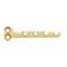 Competitive Price Veterinary Bone 1.1mm T Type Plate (B Series) Orthopedic Trauma Implants