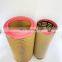 Truck Air Filter C30810 RS3998 P782106