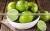 Organic Green Fresh Lemon Exported