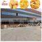 Customized frozen fried potato chips process machine
