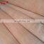 0.25mm 3mm gurjan wood ev gurjan veneer board