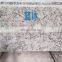 High quality Brazil blue ice granite countertop slab
