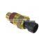 2852157 Diesel Engine Temperature Sensor 2852157 Diesel Engine Truck Parts