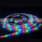 3014 LED Strip RGB 54Led/m Waterproof Led Diode Tape Ribbon + 10Key RF Controller + 2A Power Adapter For Home Garden Decoration