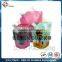 China Manufacture Plastic Spout Top Hair Cream Packaging