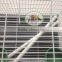 Anping galvanized bird cage wire mesh/stainless steel bird cage welded wire mesh