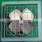 industrial small exhaust fan