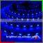 Smd Led Strip 5050 multicolor rgb LED strip light with waterproof IP20 65 67