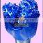 Steel Tricone Drill Bit