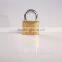 Arc Type Brass Padlock