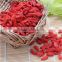 Chinese Compare New Crop dried wolfberry goji berry Extract