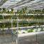 Hydroponic Greenhouse for Agricultural